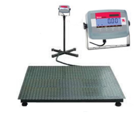 Cân Sàn OHAUS T31P - USA (1 -2) Tấn